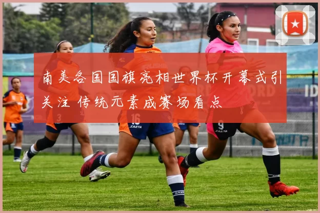 南美各国国旗亮相世界杯开幕式引关注 传统元素成赛场看点