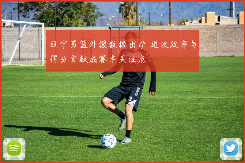 辽宁男篮外援数据出炉 进攻效率与得分贡献成赛季关注点