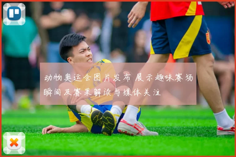 动物奥运会图片发布 展示趣味赛场瞬间及赛果解读与媒体关注