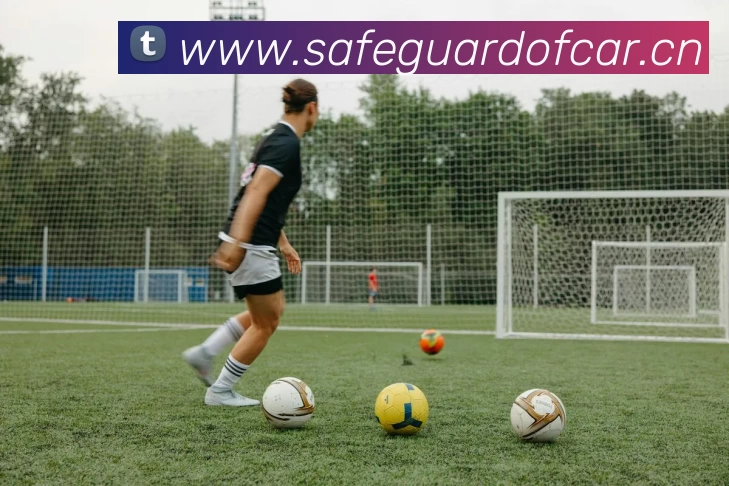 多媒体互动体验